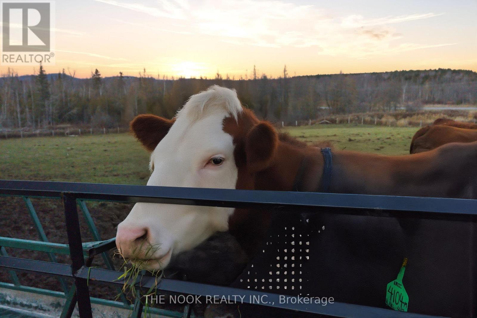 2132 County 10 Road, Cavan Monaghan (Cavan Twp), Ontario  L0A 1C0 - Photo 17 - X12805134