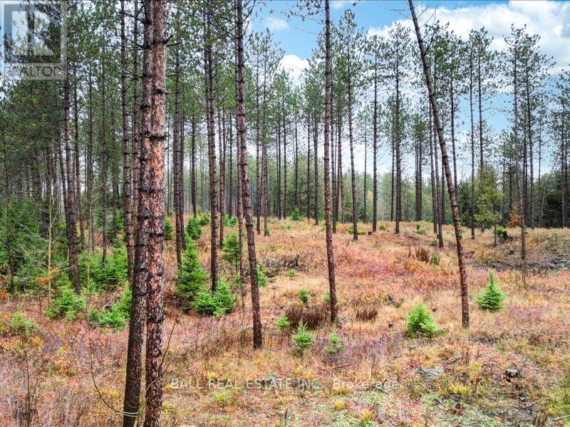 514 St. Ola Road, Limerick, Ontario  K0L 1W0 - Photo 33 - X12806550