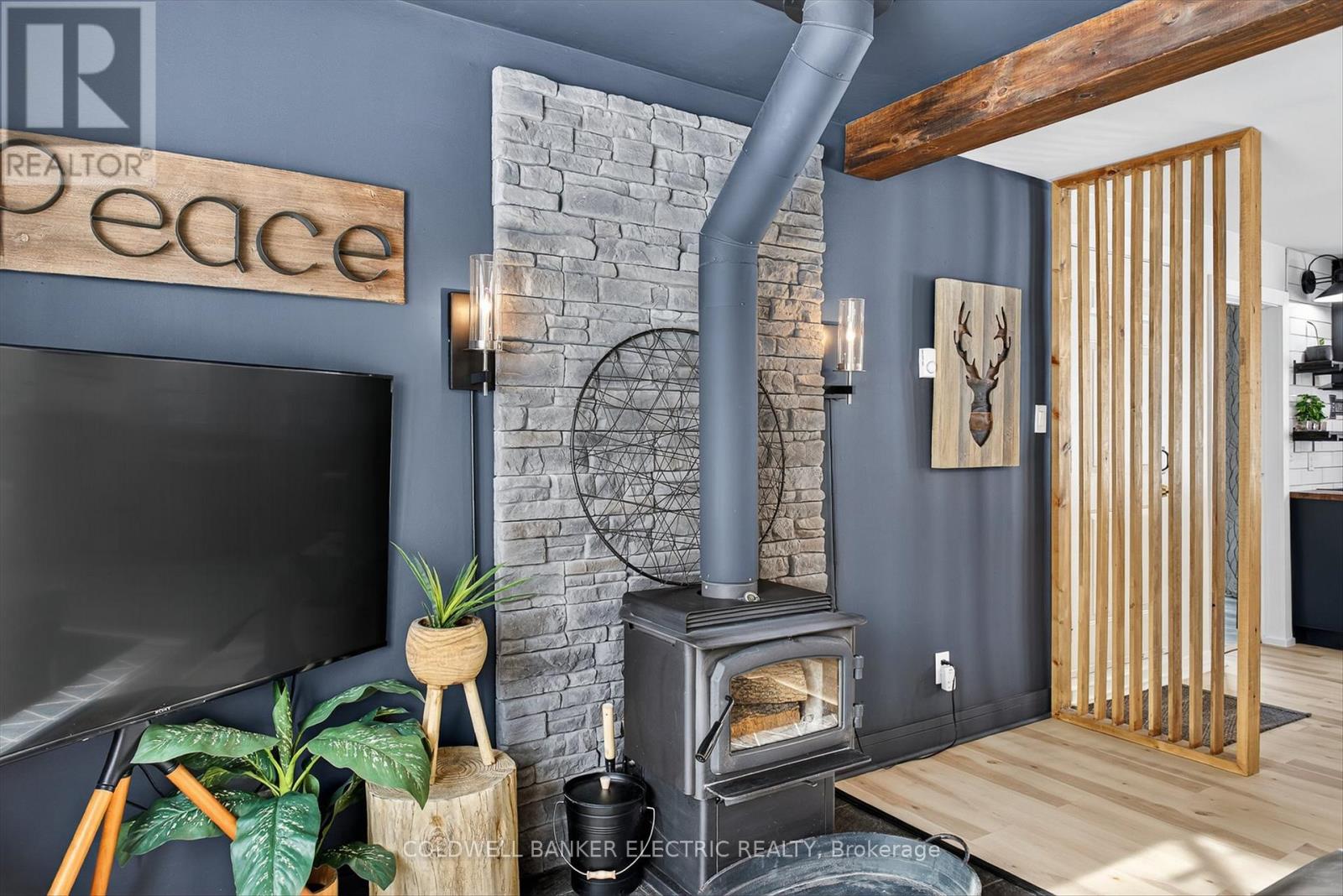 5 Fire Route 60, Trent Lakes, Ontario  K0L 1J0 - Photo 11 - X12806864