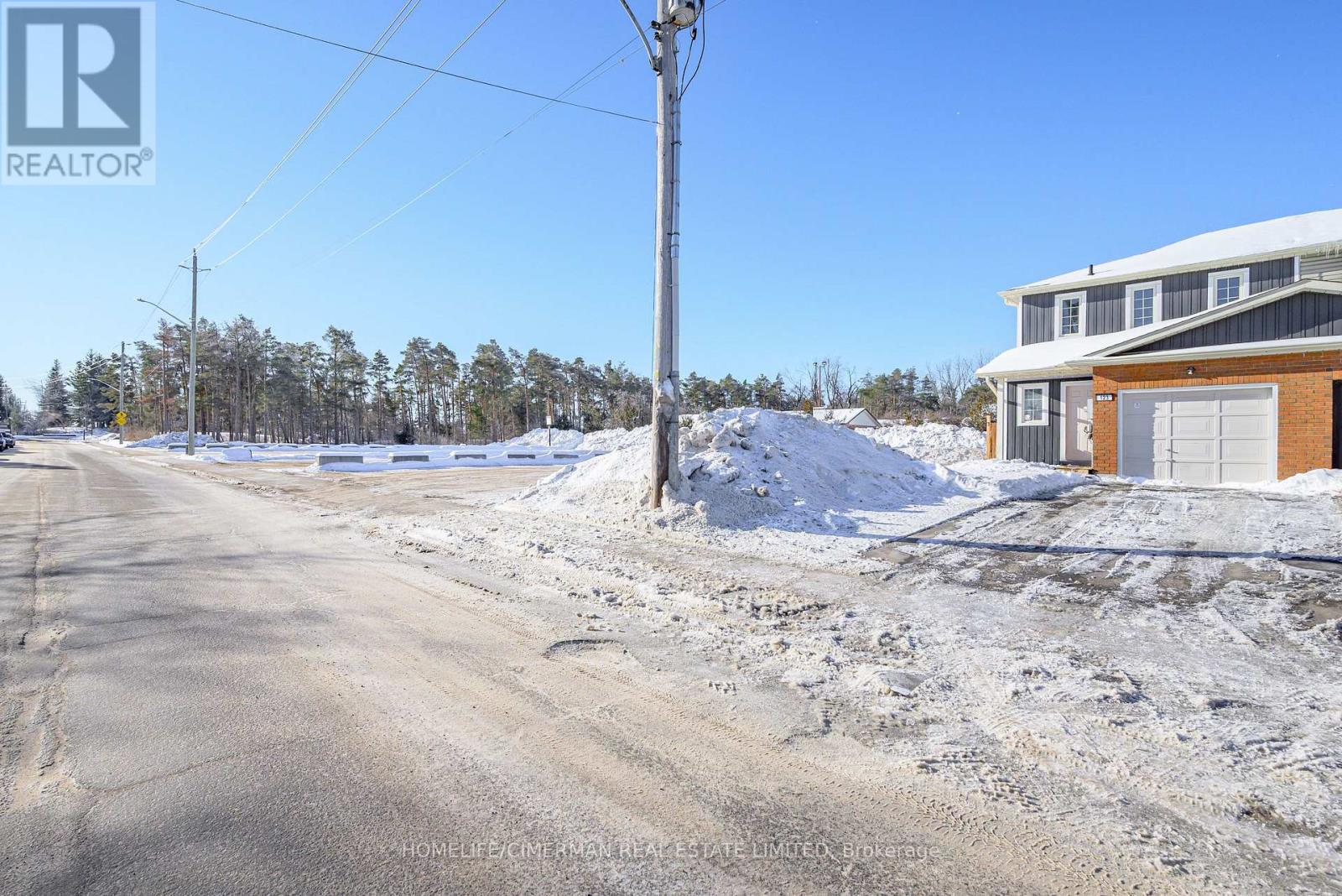 123 Albert Street S, Kawartha Lakes (Lindsay), Ontario  K9V 6G1 - Photo 3 - X12807658