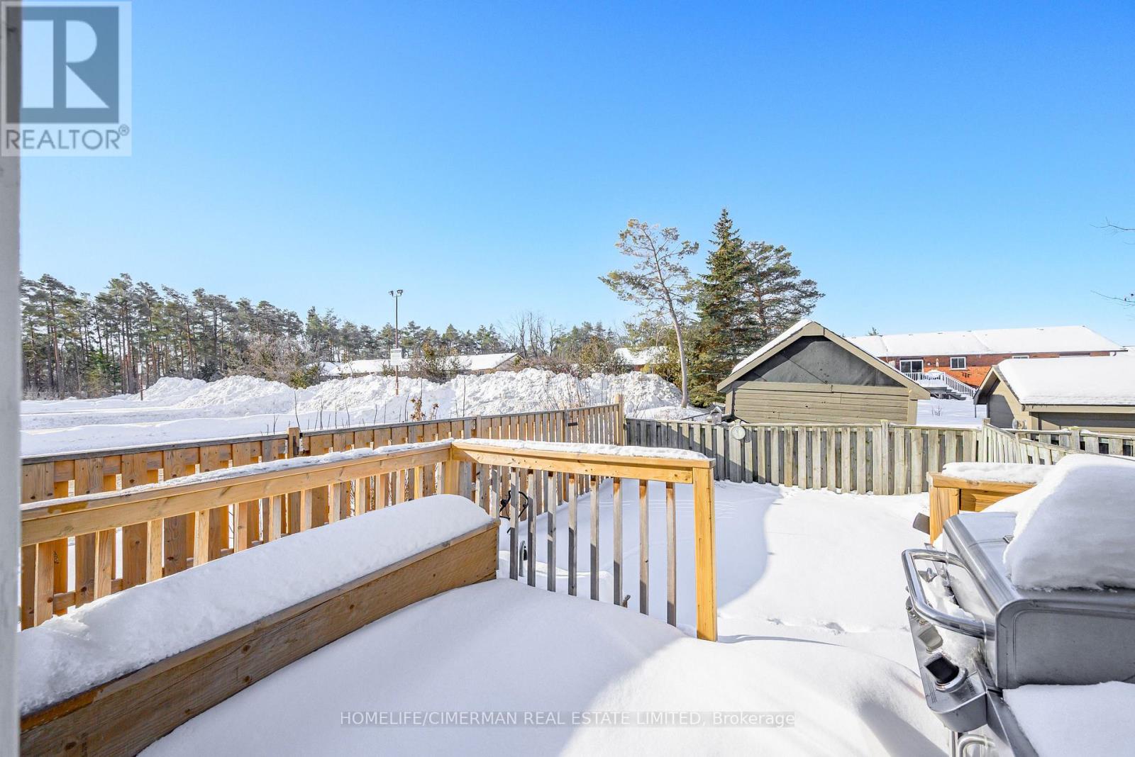 123 Albert Street S, Kawartha Lakes (Lindsay), Ontario  K9V 6G1 - Photo 44 - X12807658