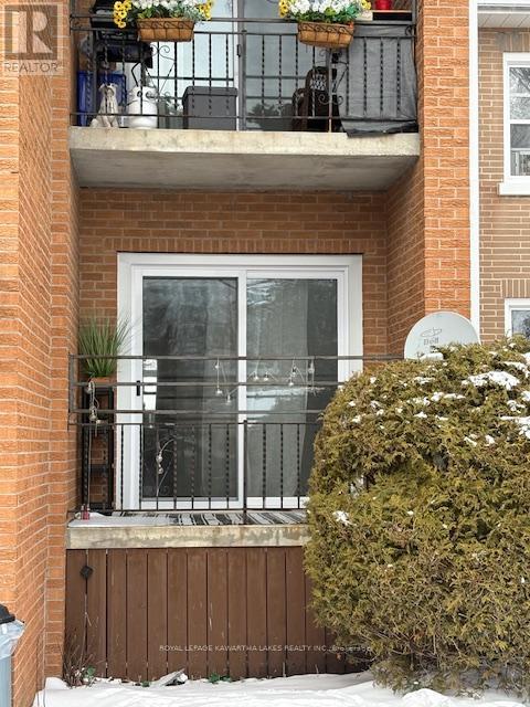 Lower - 105 Regent Street, Kawartha Lakes (Lindsay), Ontario  K9V 3V5 - Photo 5 - X12812448