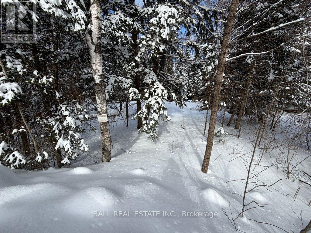 0 Quarry Road, Bancroft (Dungannon Ward), Ontario  K0L 1C0 - Photo 2 - X12814520