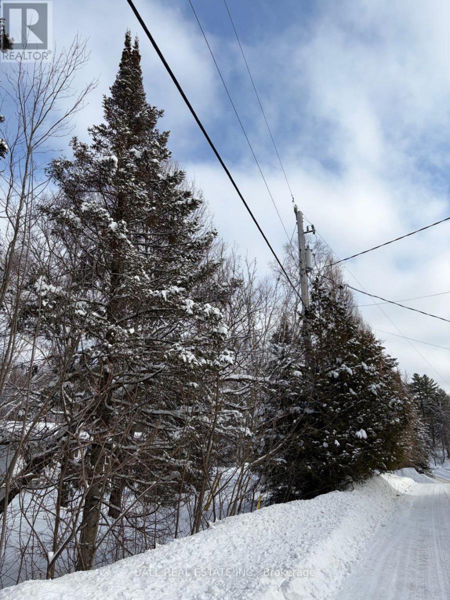 0 Quarry Road, Bancroft (Dungannon Ward), Ontario  K0L 1C0 - Photo 3 - X12814520