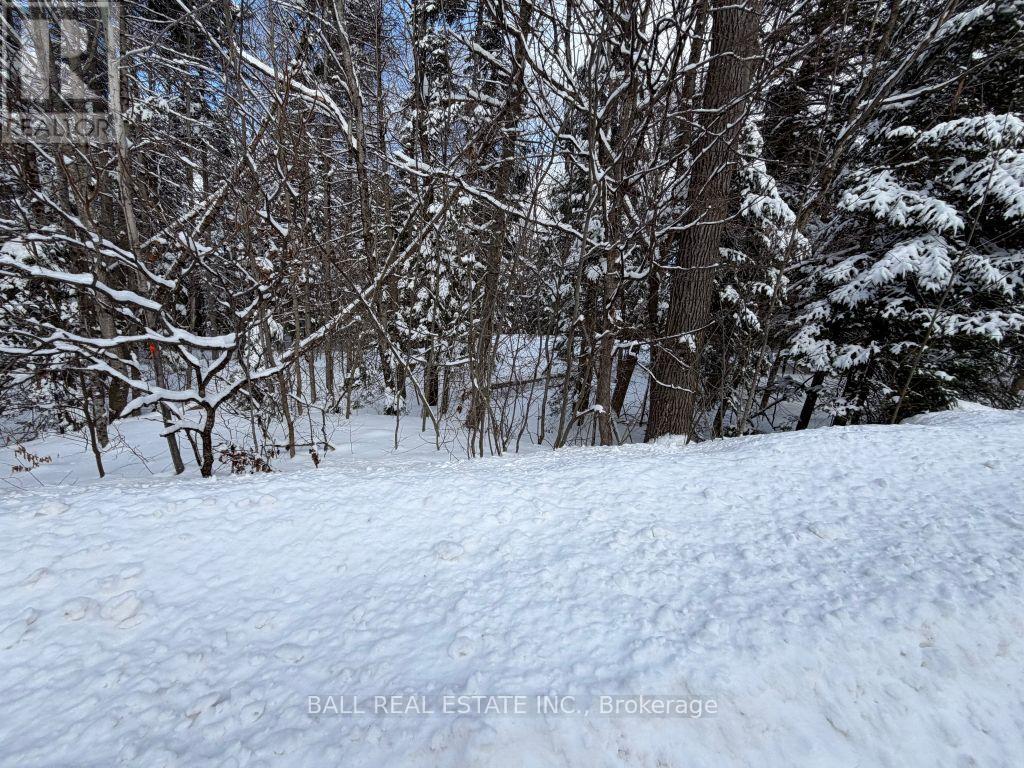 0 Quarry Road, Bancroft (Dungannon Ward), Ontario  K0L 1C0 - Photo 4 - X12814520