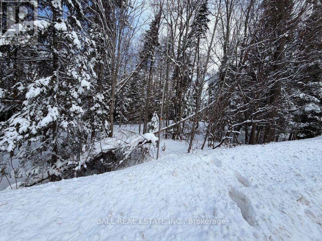 0 Quarry Road, Bancroft (Dungannon Ward), Ontario  K0L 1C0 - Photo 5 - X12814520