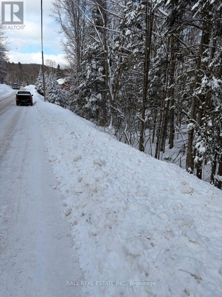 0 Quarry Road, Bancroft (Dungannon Ward), Ontario  K0L 1C0 - Photo 7 - X12814520