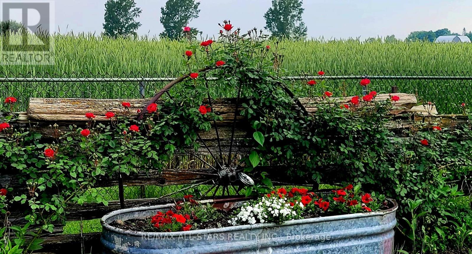 874 Monarch Road, Kawartha Lakes (Lindsay), Ontario  K9V 4R1 - Photo 41 - X12817888