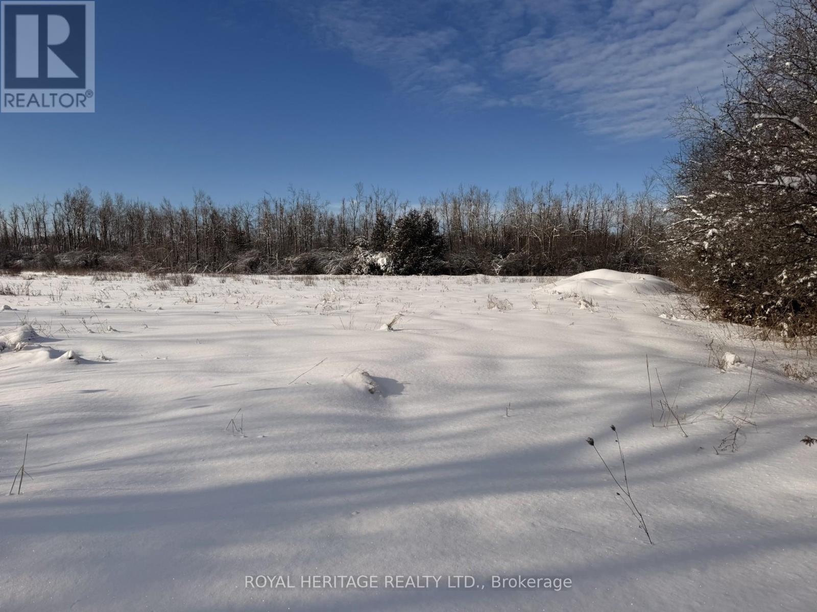 N/a Traceys Hill Road, Kawartha Lakes (Emily), Ontario  K9V 4R5 - Photo 2 - X12818002