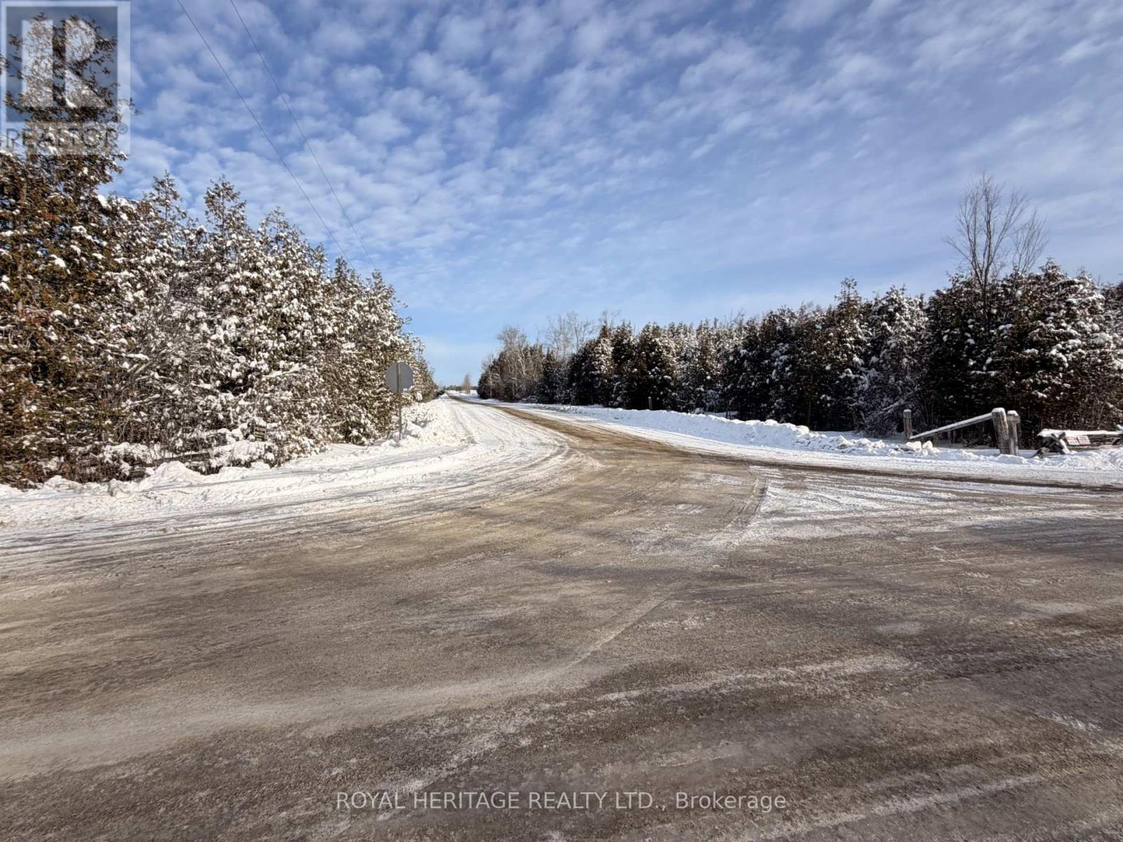 N/a Traceys Hill Road, Kawartha Lakes (Emily), Ontario  K9V 4R5 - Photo 3 - X12818002