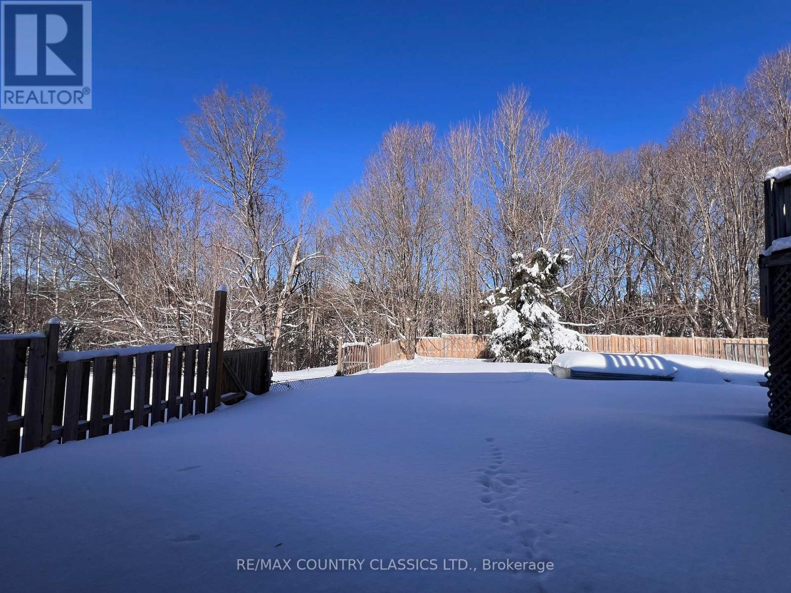 33109 Hwy 62 North, Hastings Highlands (Wicklow Ward), Ontario  K0L 2S0 - Photo 27 - X12819450