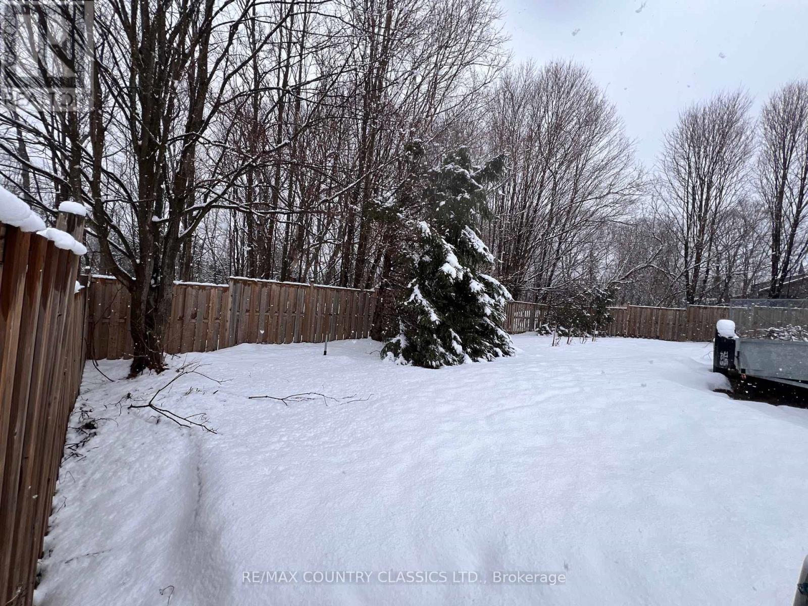 33109 Hwy 62 North, Hastings Highlands (Wicklow Ward), Ontario  K0L 2S0 - Photo 33 - X12819450