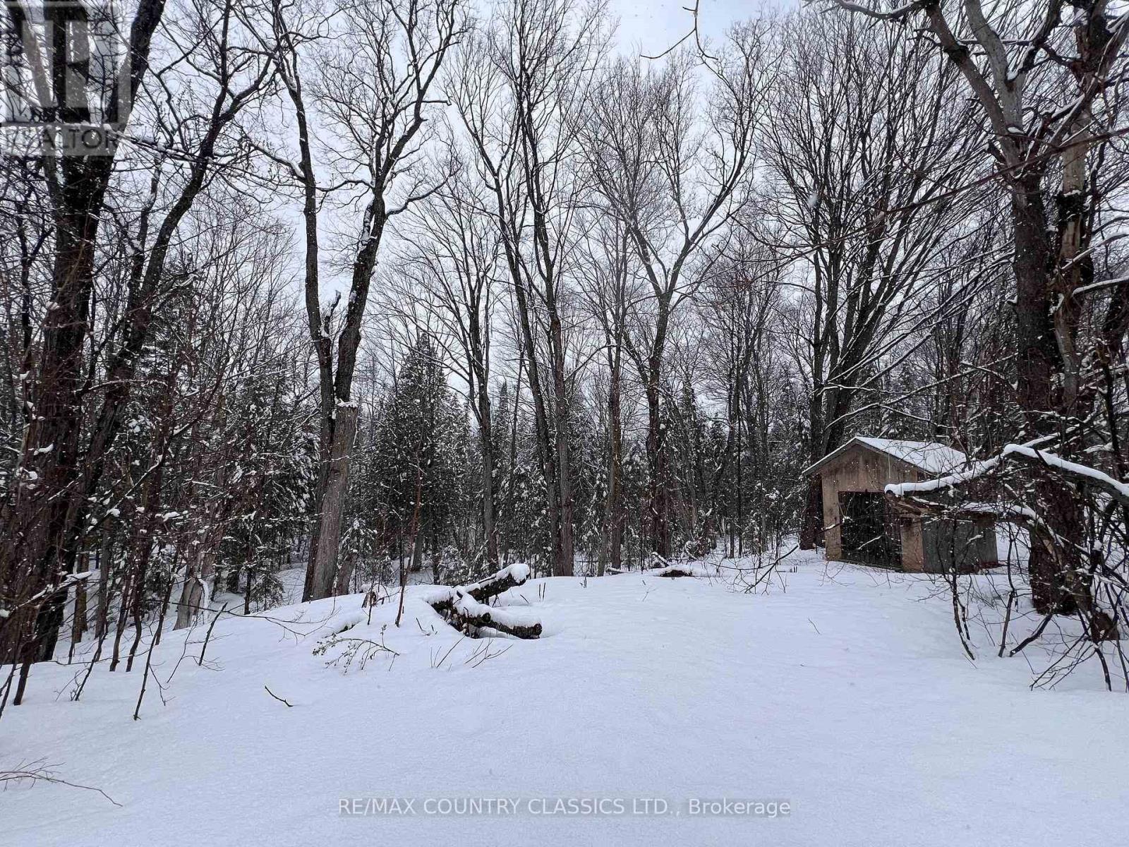 33109 Hwy 62 North, Hastings Highlands (Wicklow Ward), Ontario  K0L 2S0 - Photo 34 - X12819450