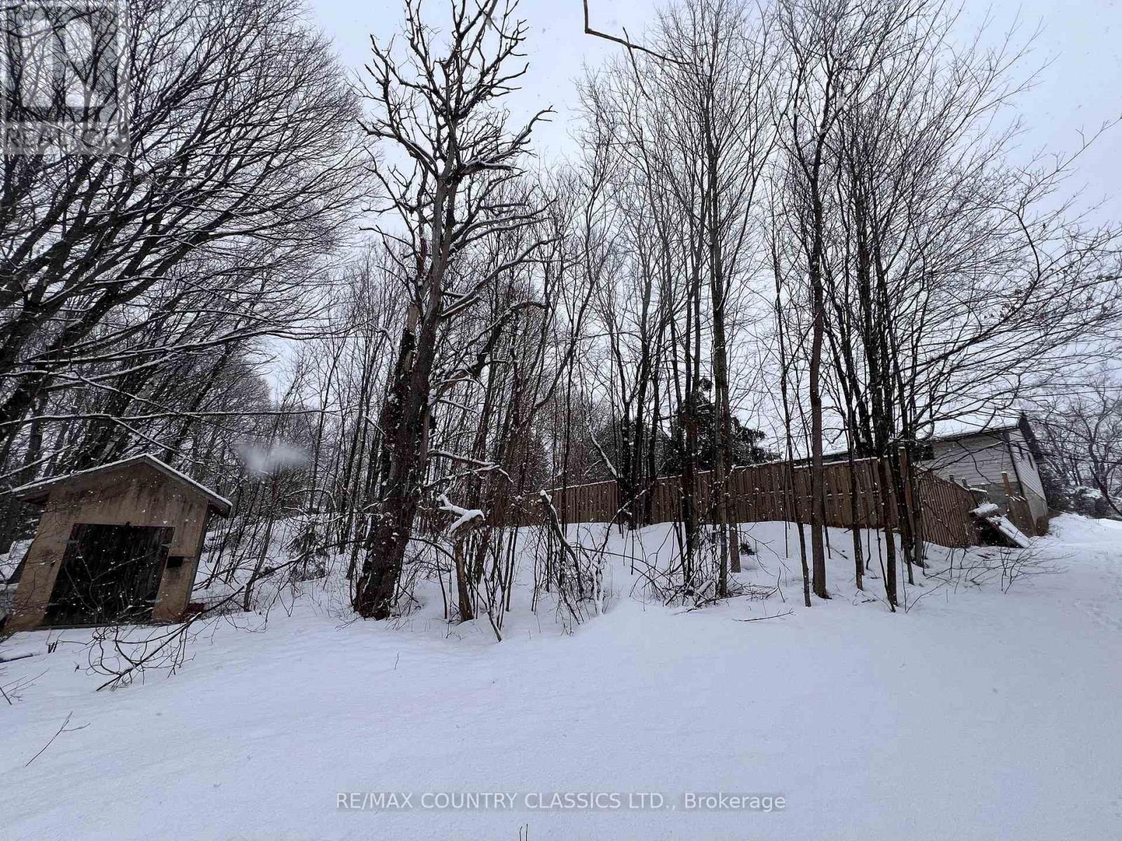 33109 Hwy 62 North, Hastings Highlands (Wicklow Ward), Ontario  K0L 2S0 - Photo 35 - X12819450