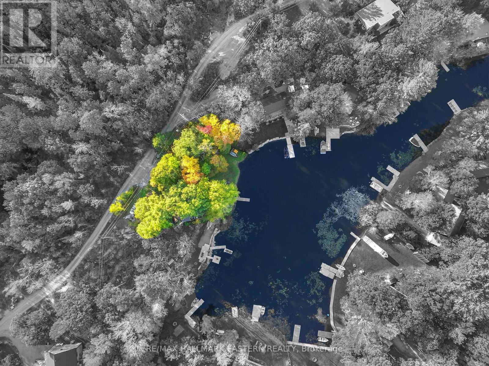 2335 Lakeside Road, Douro-Dummer, Ontario  K0L 2H0 - Photo 10 - X12821712