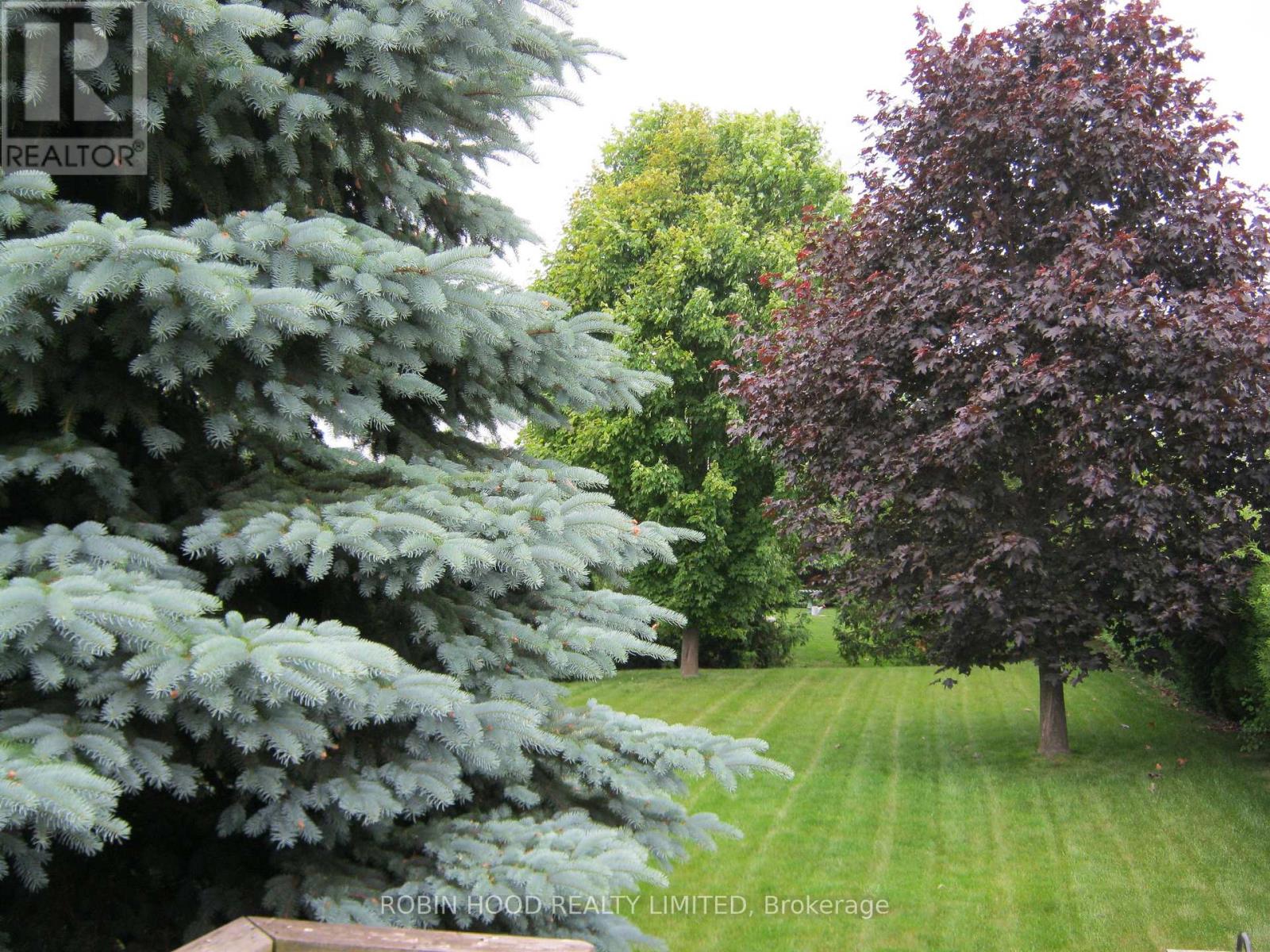 40 Dormer Road, Kawartha Lakes (Lindsay), Ontario  K9V 6H8 - Photo 25 - X12822164