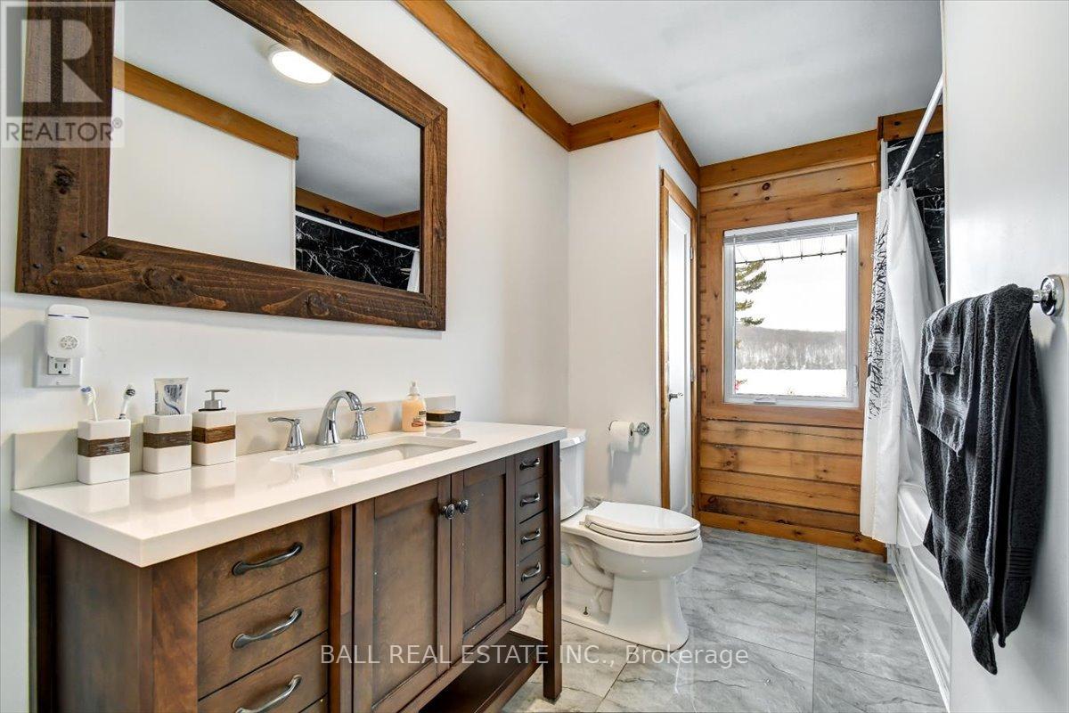 250 Lakeview Road, Bancroft (Dungannon Ward), Ontario  K0L 1C0 - Photo 16 - X12822618