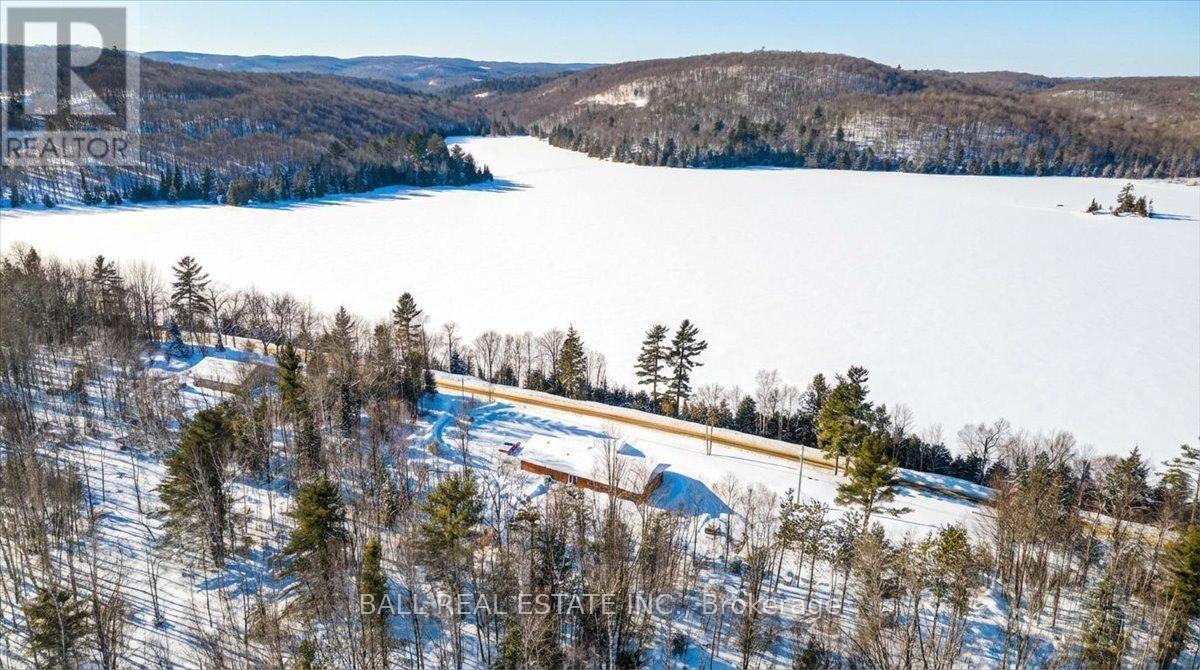 250 Lakeview Road, Bancroft (Dungannon Ward), Ontario  K0L 1C0 - Photo 35 - X12822618