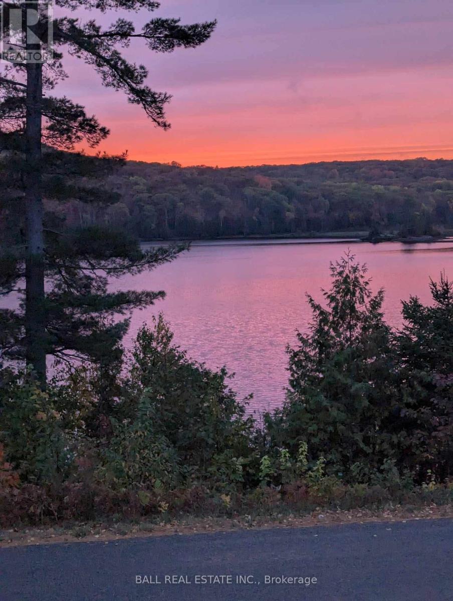 250 Lakeview Road, Bancroft (Dungannon Ward), Ontario  K0L 1C0 - Photo 45 - X12822618