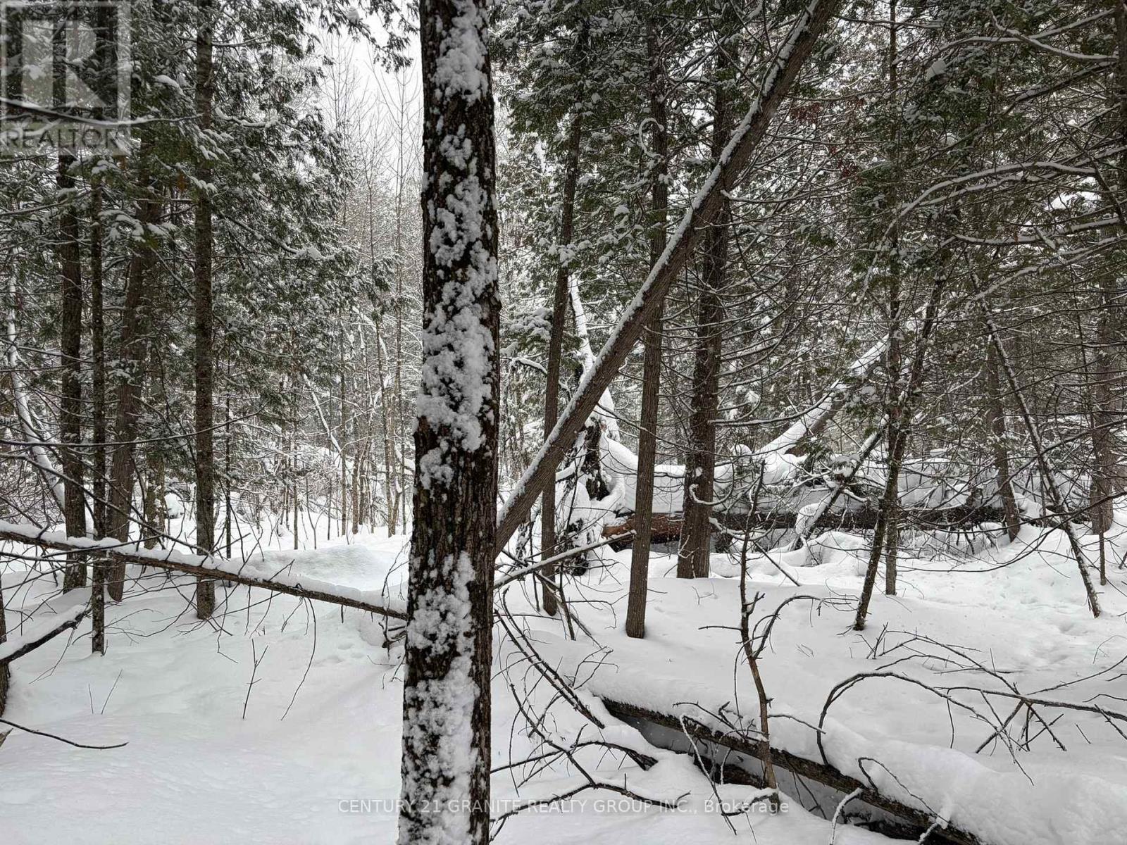 0 Old Hastings Road, Tudor And Cashel (Tudor Ward), Ontario  K0L 1C0 - Photo 2 - X12824358
