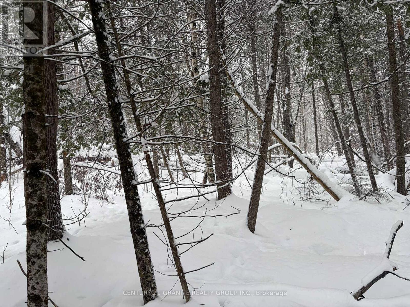 0 Old Hastings Road, Tudor And Cashel (Tudor Ward), Ontario  K0L 1C0 - Photo 3 - X12824358