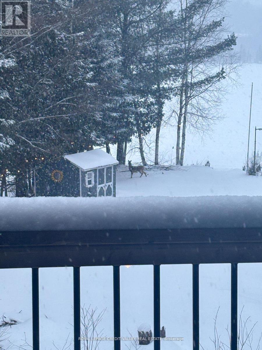 992 South Baptiste Lake Road, Hastings Highlands (Herschel Ward), Ontario  K0L 1C0 - Photo 36 - X12825088