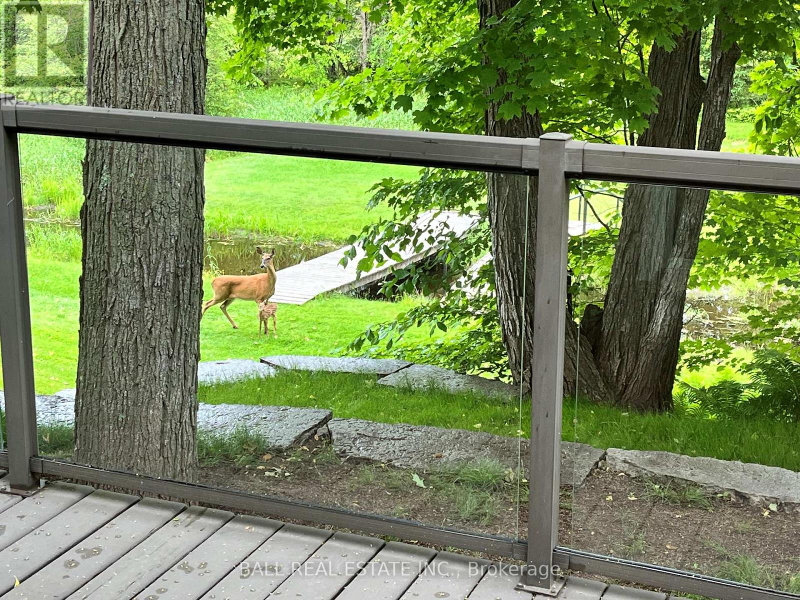 1971 Asphodel 7th Line, Asphodel-Norwood, Ontario  K0L 2V0 - Photo 47 - X12826052