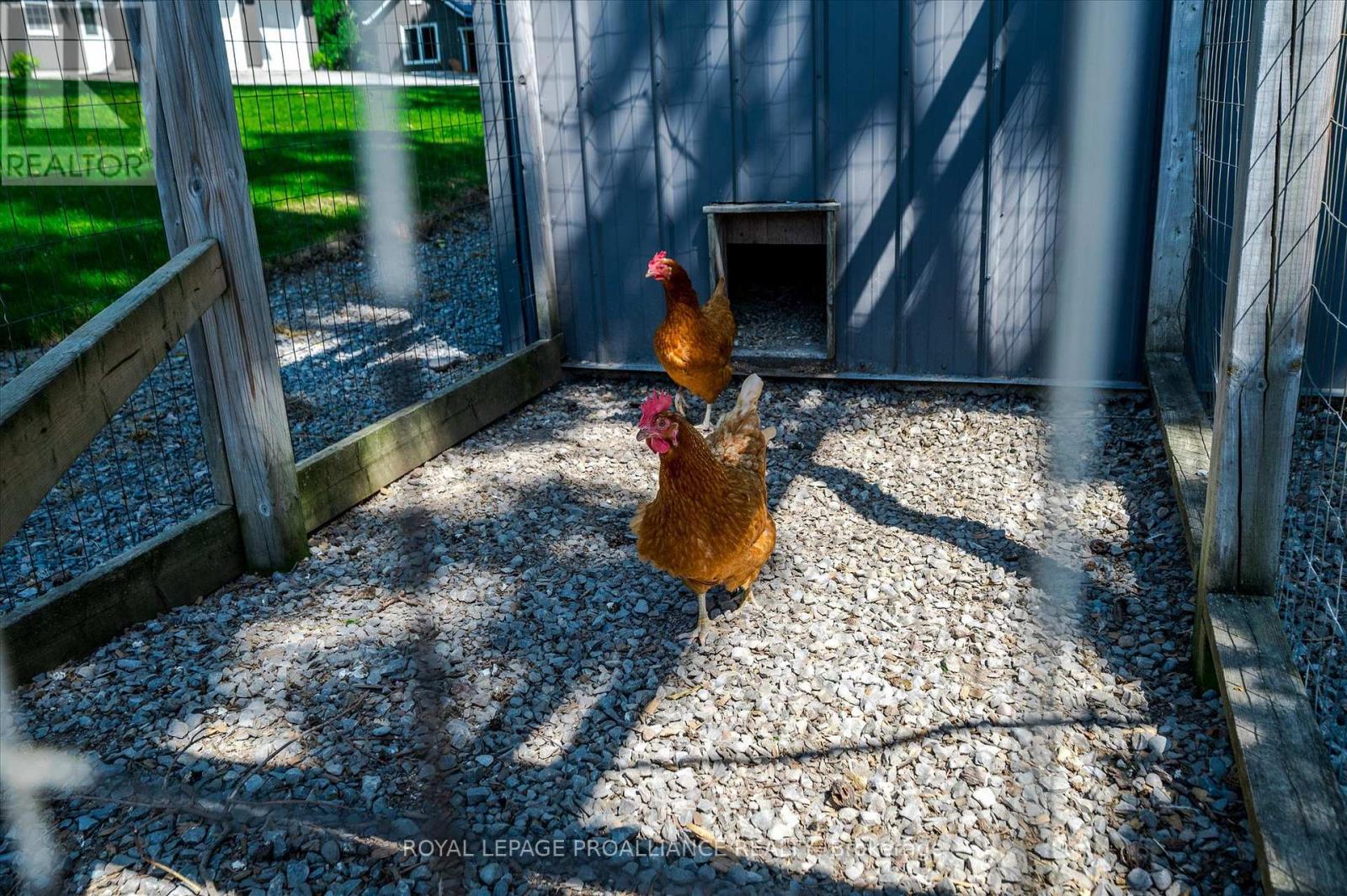 831 Bland Line, Cavan Monaghan (Cavan Twp), Ontario  L0A 1C0 - Photo 49 - X12827768