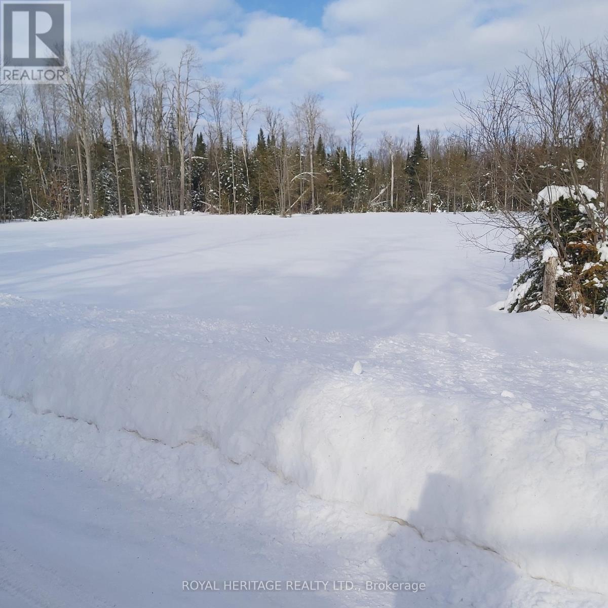 196 Settlement Road, Kawartha Lakes (Emily), Ontario  K9V 4R5 - Photo 2 - X12828456