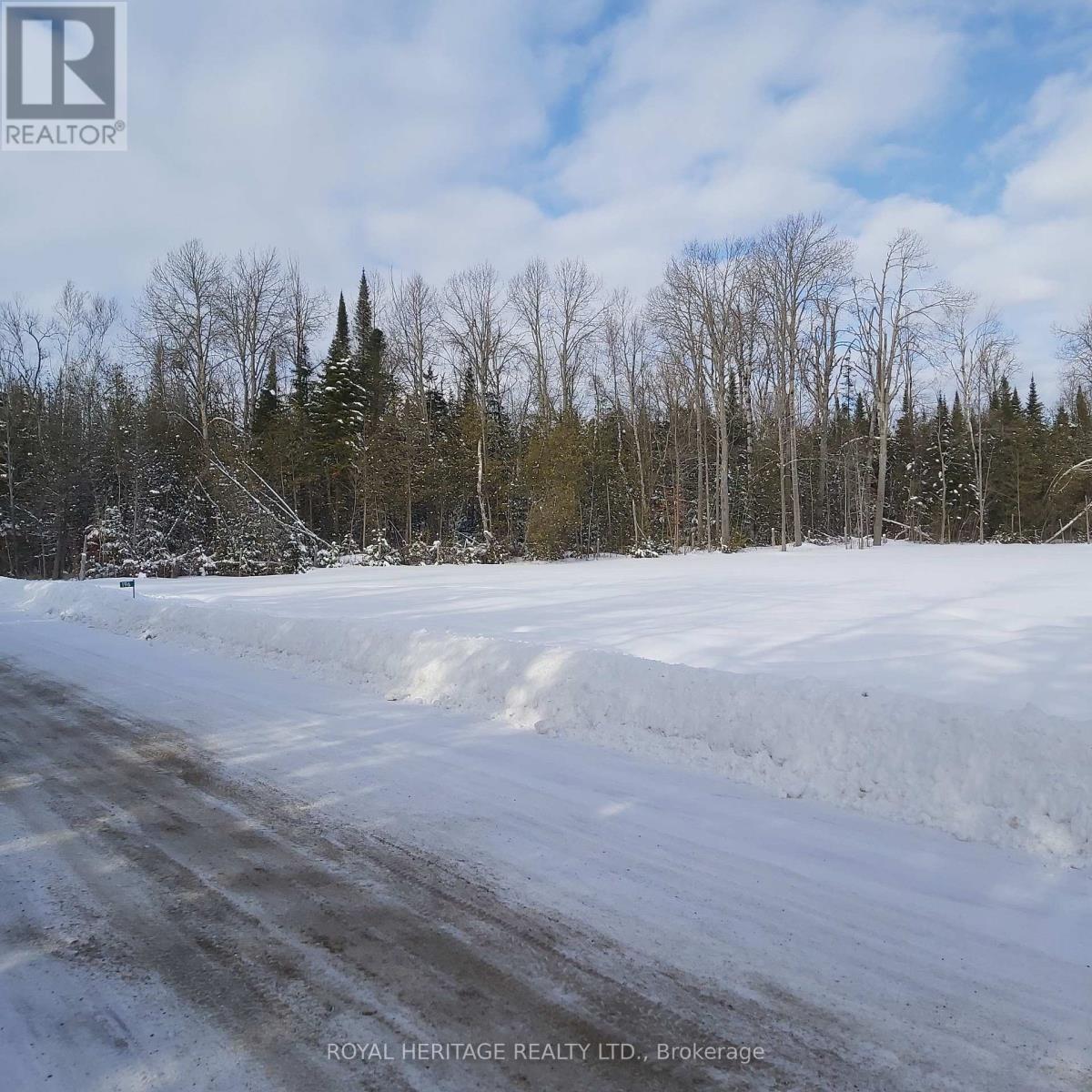 196 Settlement Road, Kawartha Lakes (Emily), Ontario  K9V 4R5 - Photo 3 - X12828456