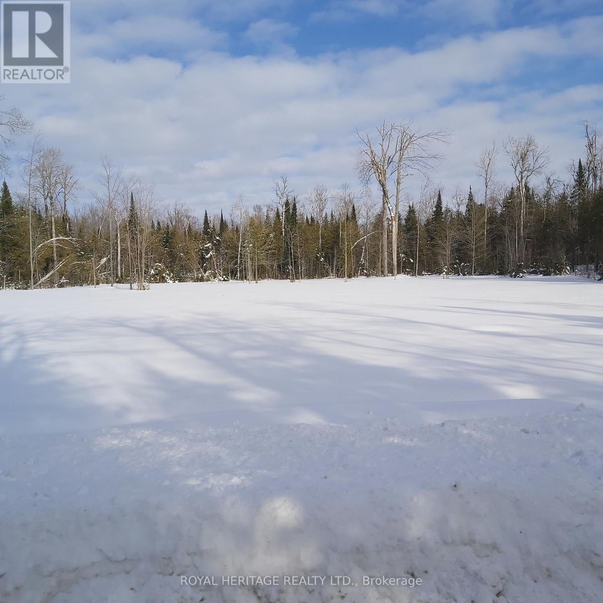 196 Settlement Road, Kawartha Lakes (Emily), Ontario  K9V 4R5 - Photo 4 - X12828456