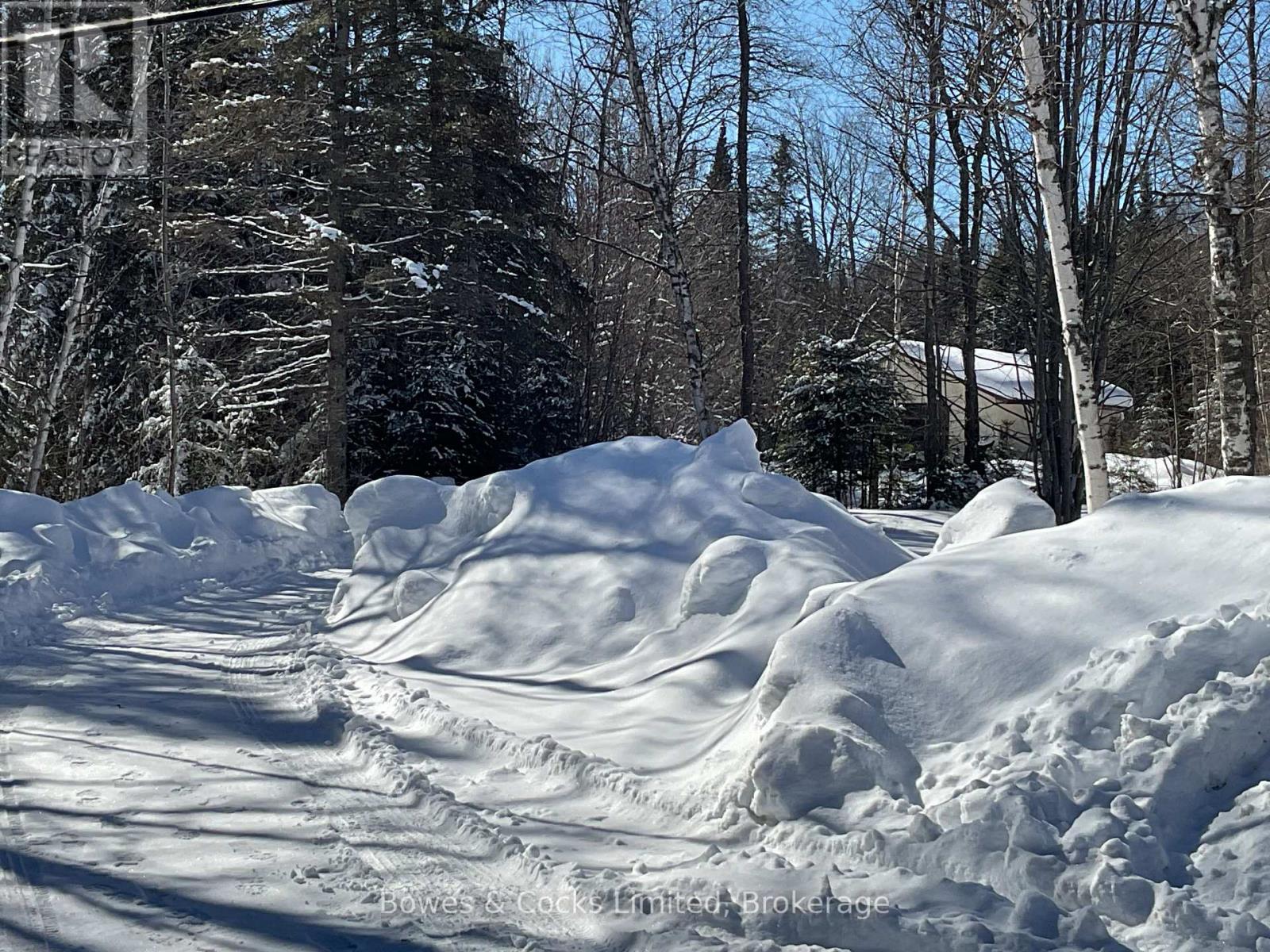 32045 Highway 62, Hastings Highlands (Herschel Ward), Ontario  K0L 2S0 - Photo 17 - X12828588