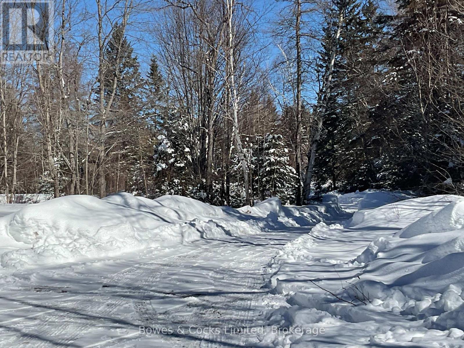 32045 Highway 62, Hastings Highlands (Herschel Ward), Ontario  K0L 2S0 - Photo 22 - X12828588