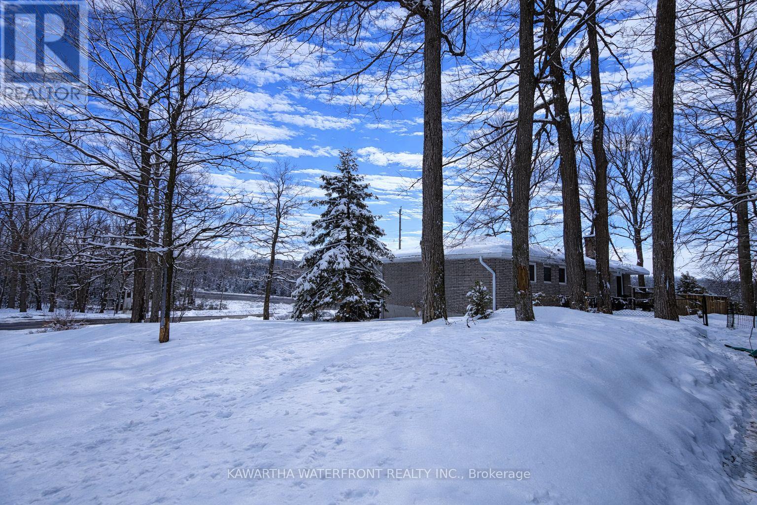 12 Leanne Avenue, Otonabee-South Monaghan, Ontario  K9J 6X8 - Photo 6 - X12828932