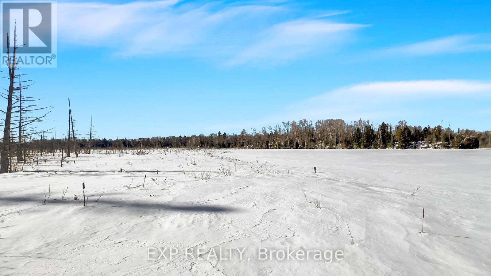 146 Thanet Lake Road, Wollaston, Ontario  K0L 1W0 - Photo 36 - X12831952