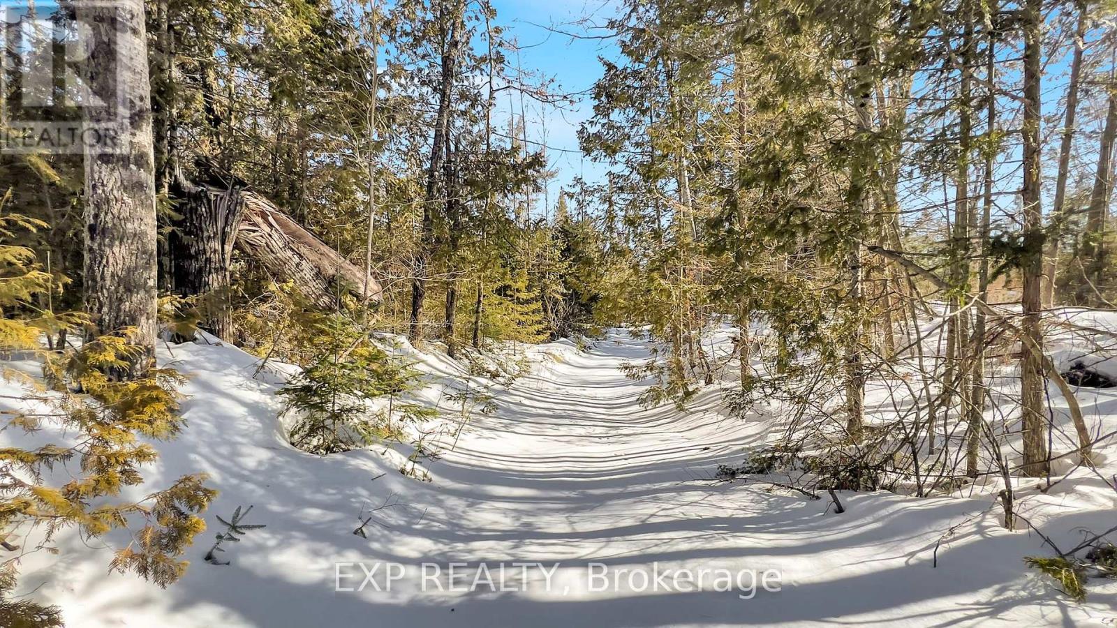 146 Thanet Lake Road, Wollaston, Ontario  K0L 1W0 - Photo 38 - X12831952