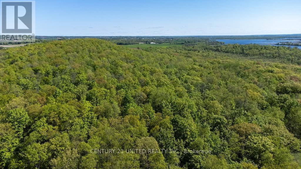 00 Hickory Bay Road, Trent Hills, Ontario  K0L 1L0 - Photo 27 - X12833290