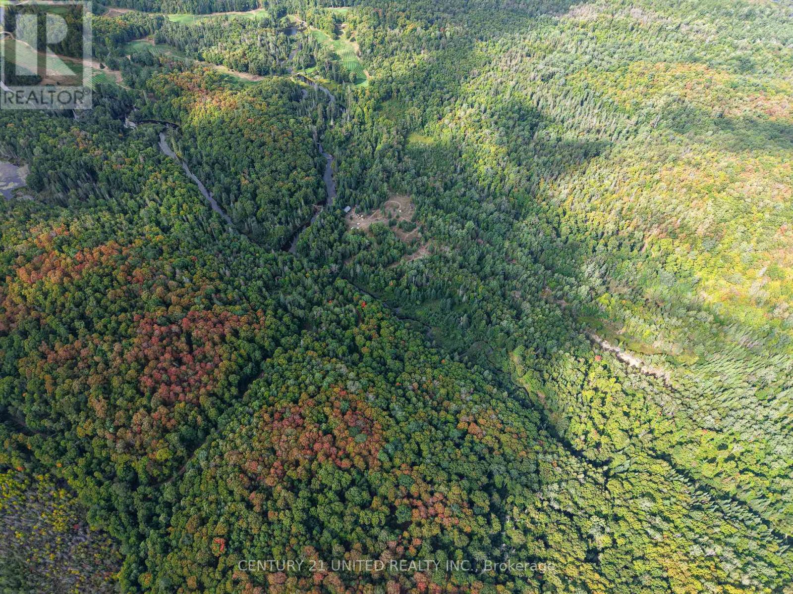 428 Jeff Road, North Kawartha, Ontario  K0L 1C0 - Photo 15 - X12833496