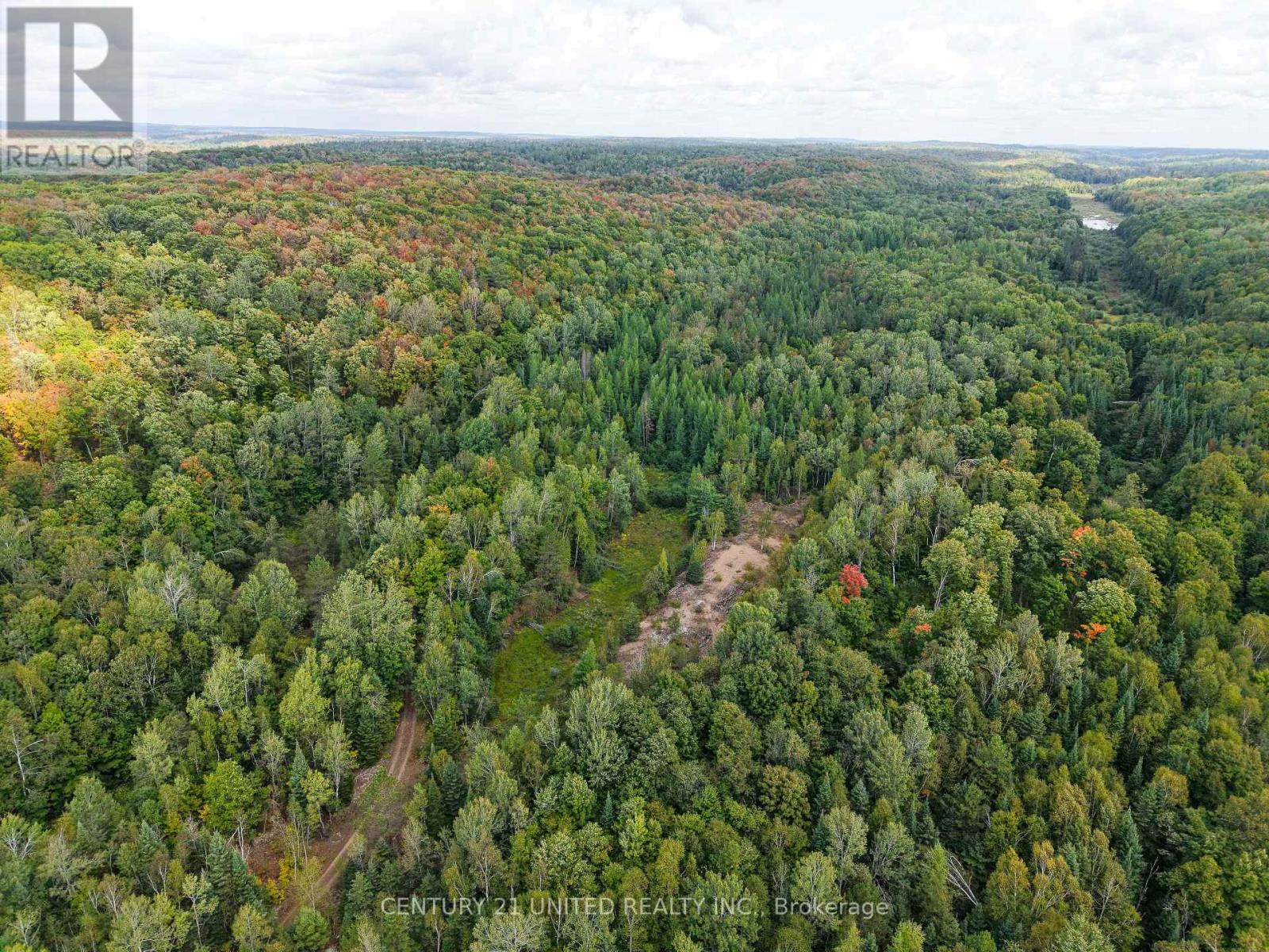 428 Jeff Road, North Kawartha, Ontario  K0L 1C0 - Photo 18 - X12833496