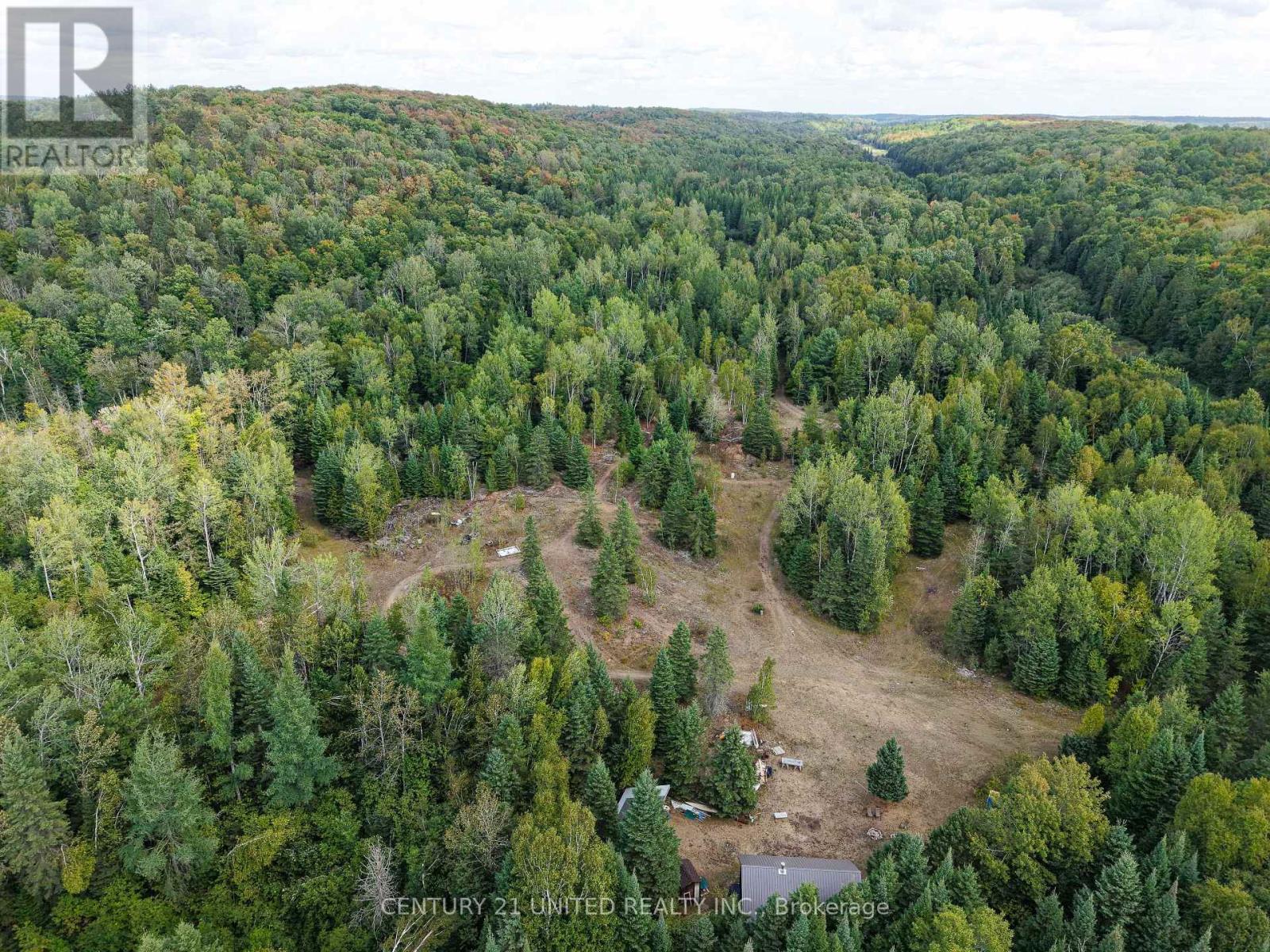 428 Jeff Road, North Kawartha, Ontario  K0L 1C0 - Photo 27 - X12833496