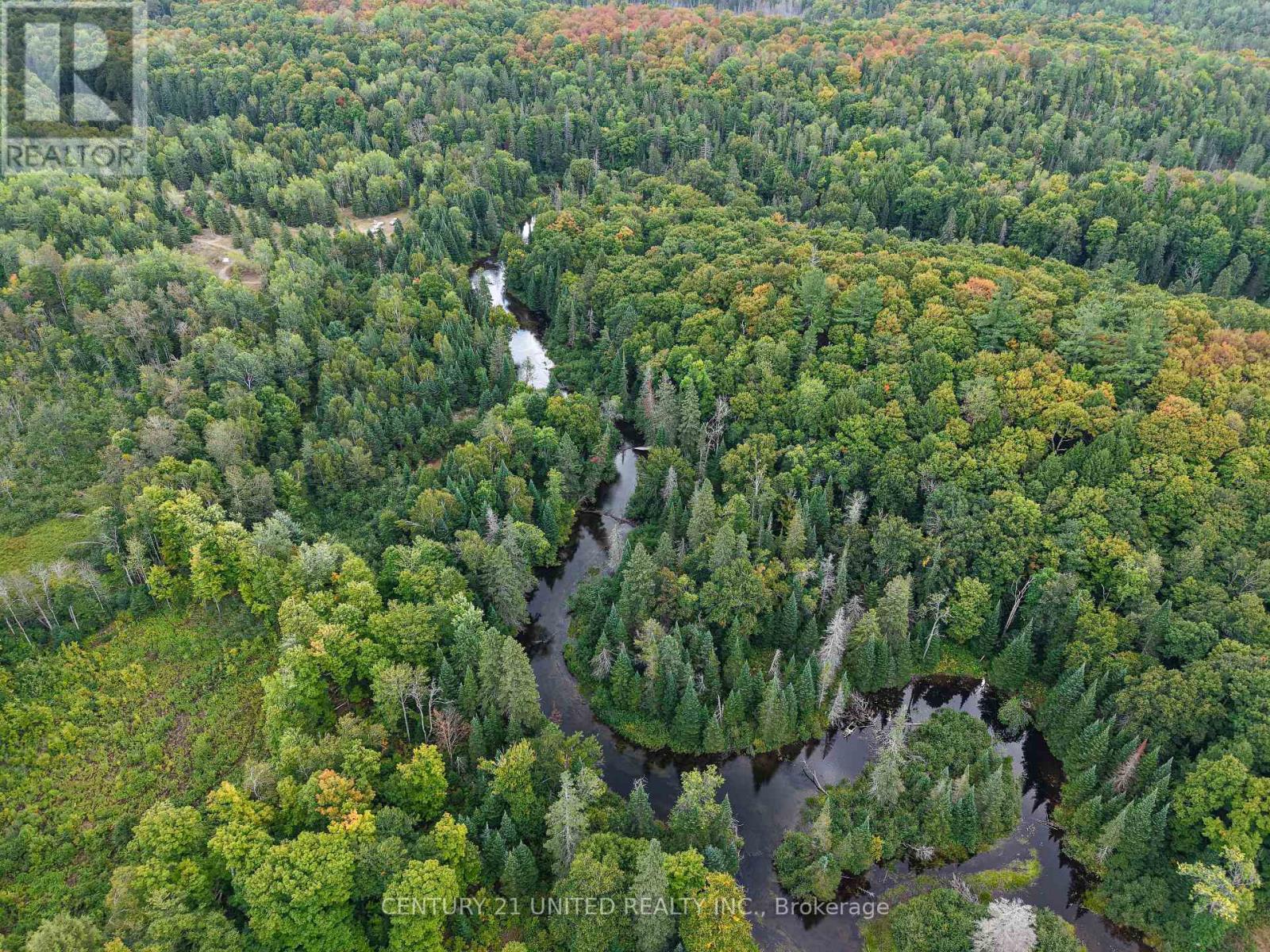 428 Jeff Road, North Kawartha, Ontario  K0L 1C0 - Photo 6 - X12833496