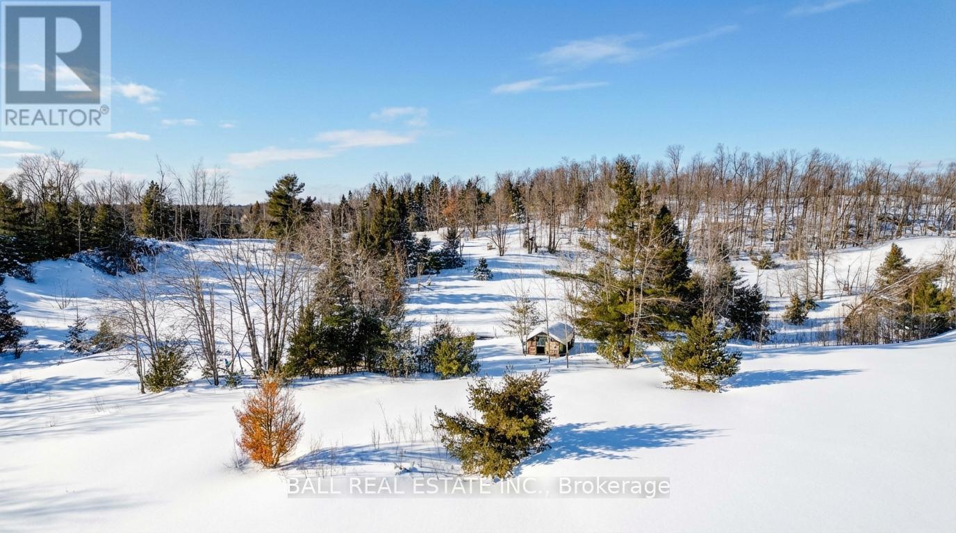186 Lasswade Road, North Kawartha, Ontario  K0L 1A0 - Photo 11 - X12834372