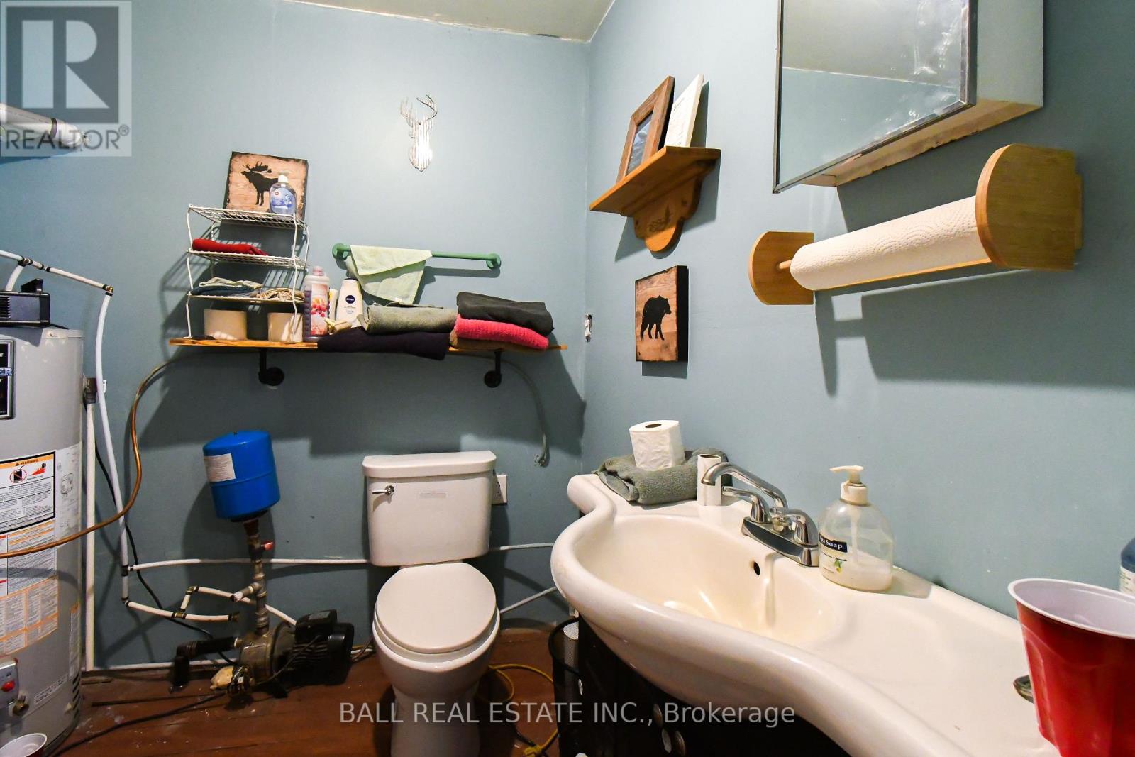 186 Lasswade Road, North Kawartha, Ontario  K0L 1A0 - Photo 37 - X12834372