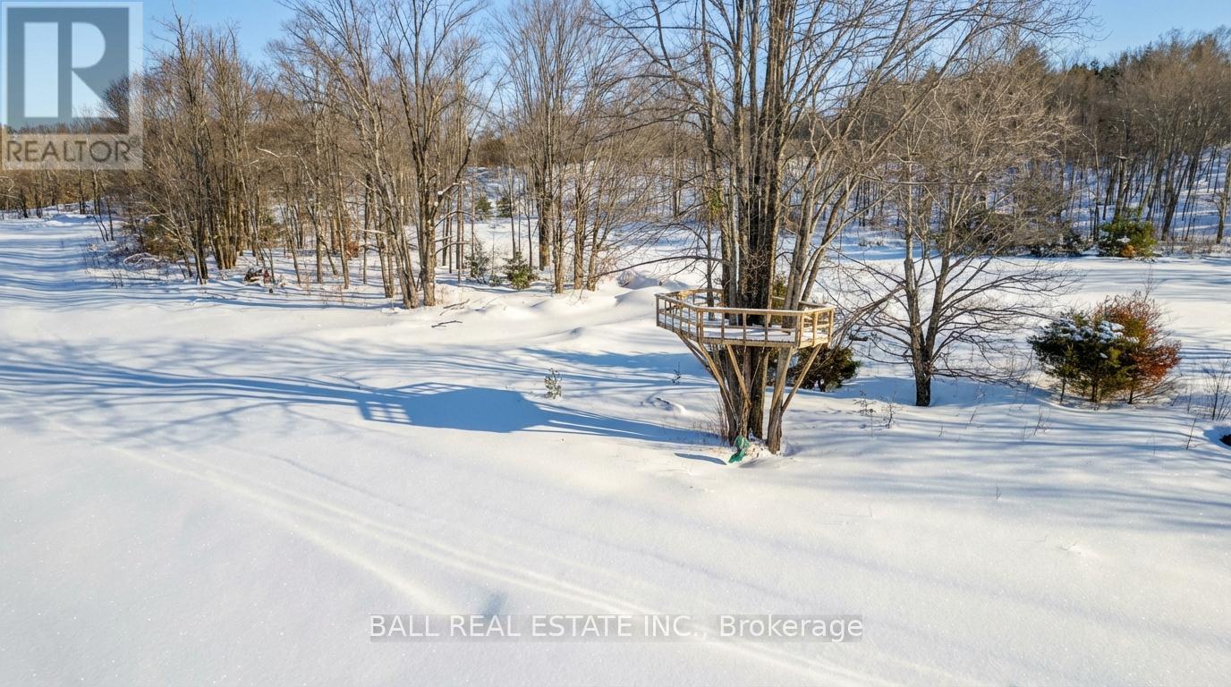 186 Lasswade Road, North Kawartha, Ontario  K0L 1A0 - Photo 8 - X12834372