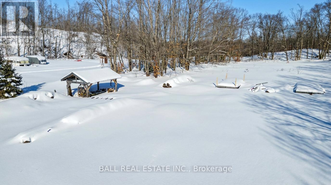 186 Lasswade Road, North Kawartha, Ontario  K0L 1A0 - Photo 9 - X12834372