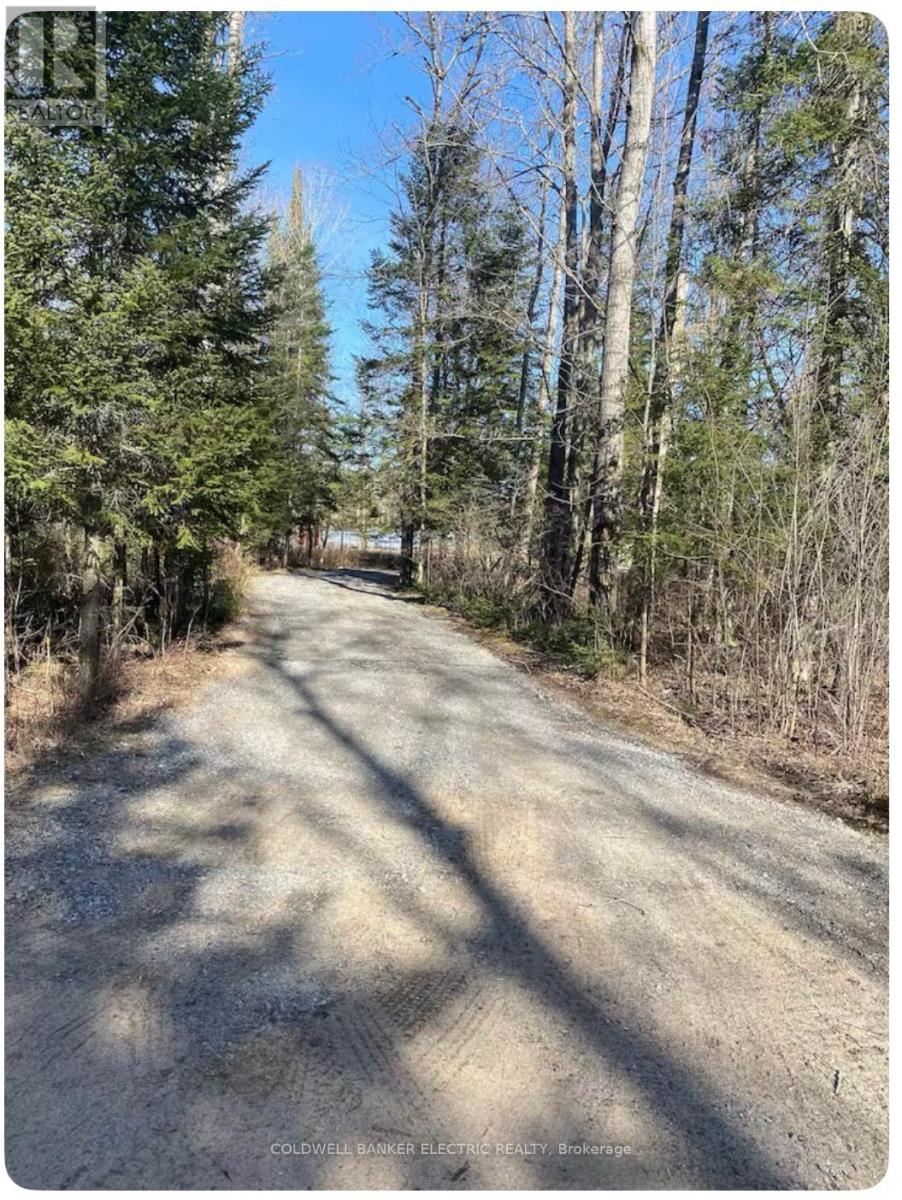 1519 North Baptiste Lake Road, Hastings Highlands (Herschel Ward), Ontario  K0L 2S0 - Photo 15 - X12837894