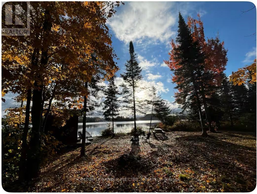 1519 North Baptiste Lake Road, Hastings Highlands (Herschel Ward), Ontario  K0L 2S0 - Photo 4 - X12837894