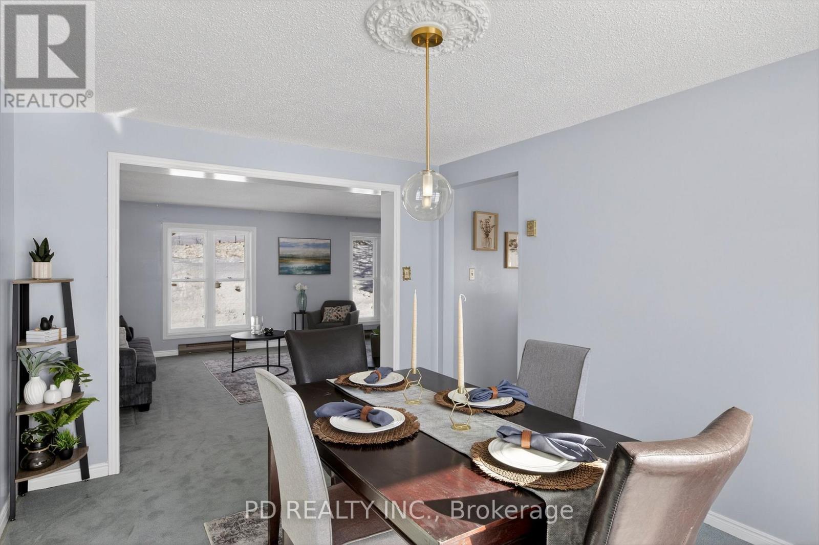 114 Clearview Drive, Kawartha Lakes (Emily), Ontario  K0L 2W0 - Photo 8 - X12838516