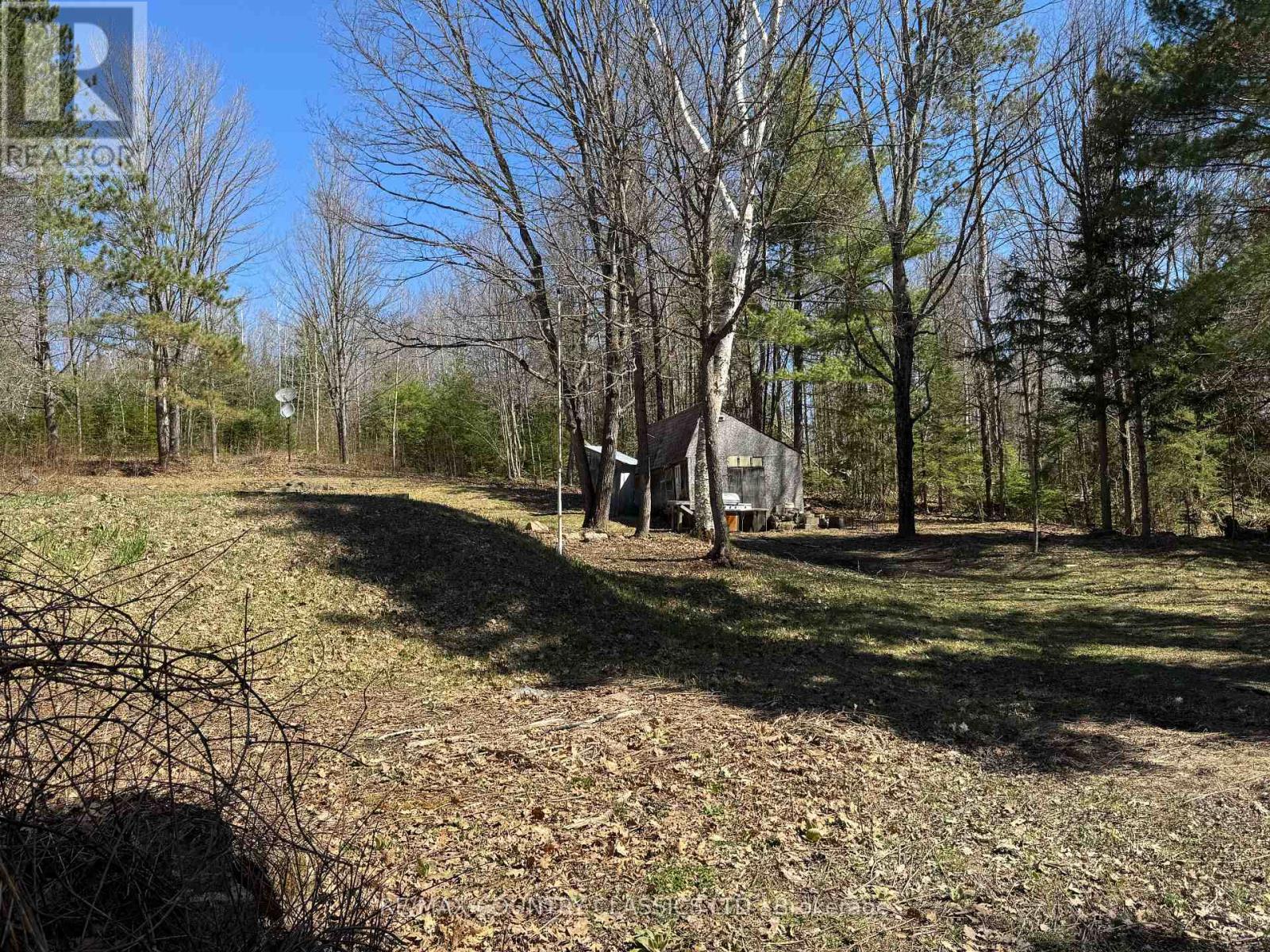 1703 Boulter Road, Carlow/mayo (Carlow Ward), Ontario  K0L 2R0 - Photo 11 - X12838546