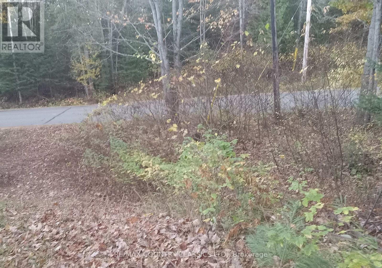 1703 Boulter Road, Carlow/mayo (Carlow Ward), Ontario  K0L 2R0 - Photo 16 - X12838546